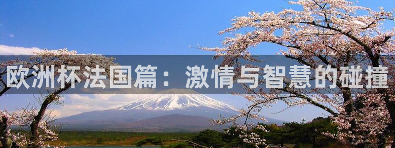 2026世界杯预选赛：欧洲杯法国篇：激情与智慧的碰撞