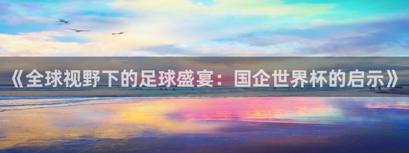 美国世界杯：《全球视野下的足球盛宴：国企世界杯的启示》