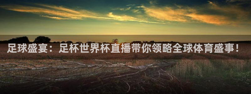 足球世界杯2026年赛程时间表：足球盛宴：足杯世界杯直播带你领略全球体育盛事！