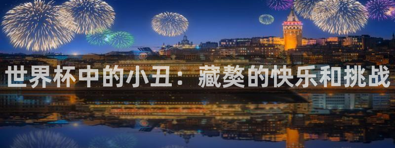 2026世界杯：世界杯中的小丑：藏獒的快乐和挑战