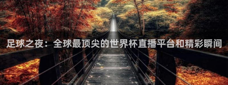 世界杯在线直播入口：足球之夜：全球最顶尖的世界杯直播平台和精彩瞬间