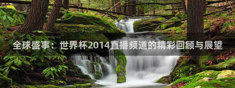 免费足球比赛直播高清：全球盛事：世界杯2014直播频道的精彩回顾与展望