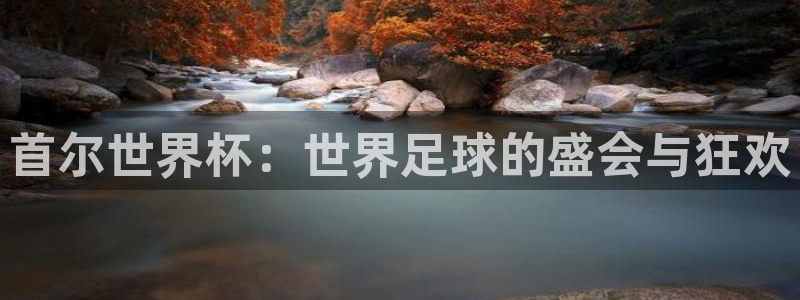 2026世界杯预选赛：首尔世界杯：世界足球的盛会与狂欢