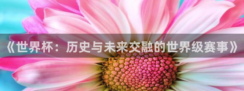 2026世界杯赛程：《世界杯：历史与未来交融的世界级赛事》