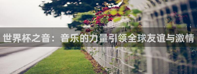 美国世界杯：世界杯之音：音乐的力量引领全球友谊与激情
