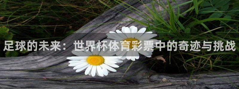 美洲杯直播：足球的未来：世界杯体育彩票中的奇迹与挑战