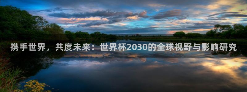 世界杯比赛：携手世界，共度未来：世界杯2030的全球视野与影响研究